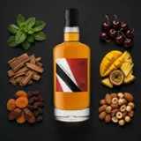 CoR T.D.L Trinidad (Itinéraires) 2010 70cl bottle — Aroma visualization from community tastings