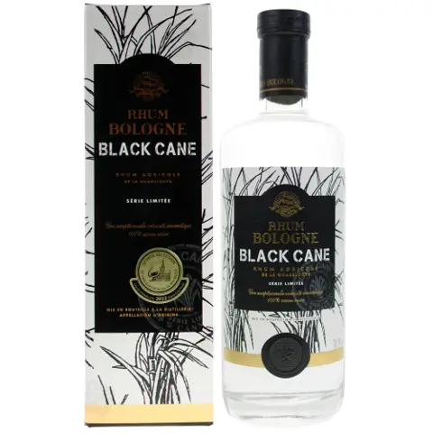 Bologne Black Cane 2023