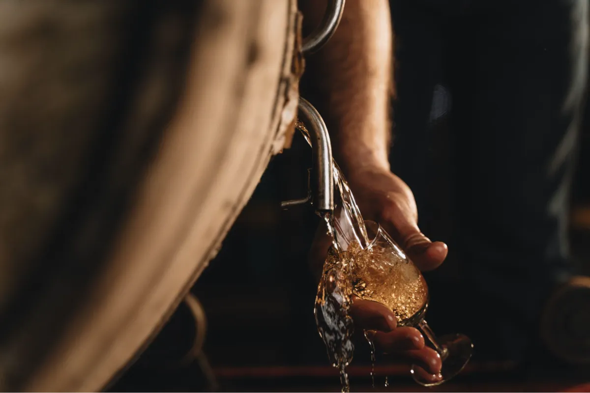 Cask tapping at Diplomático