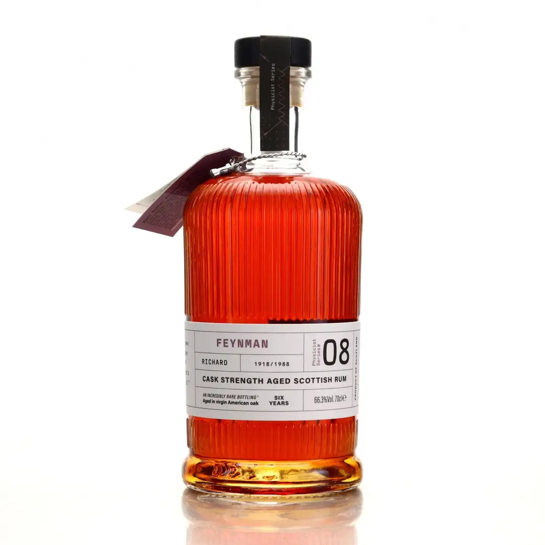 Dark Matter Distillers Physicist Series 08 Feynman 2015