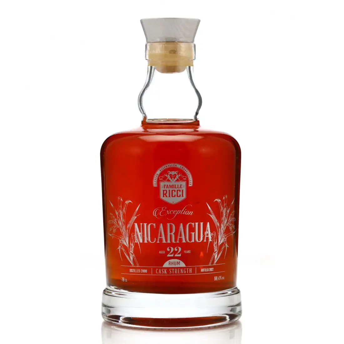 Famille Ricci Nicaragua