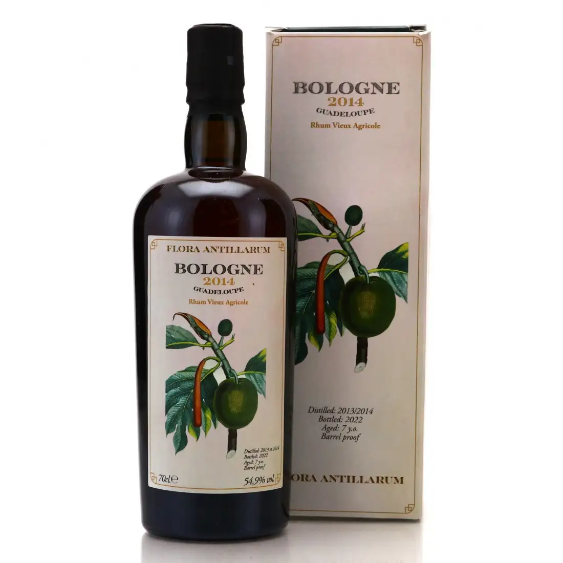 Velier Bologne Flora Antillarum 2014