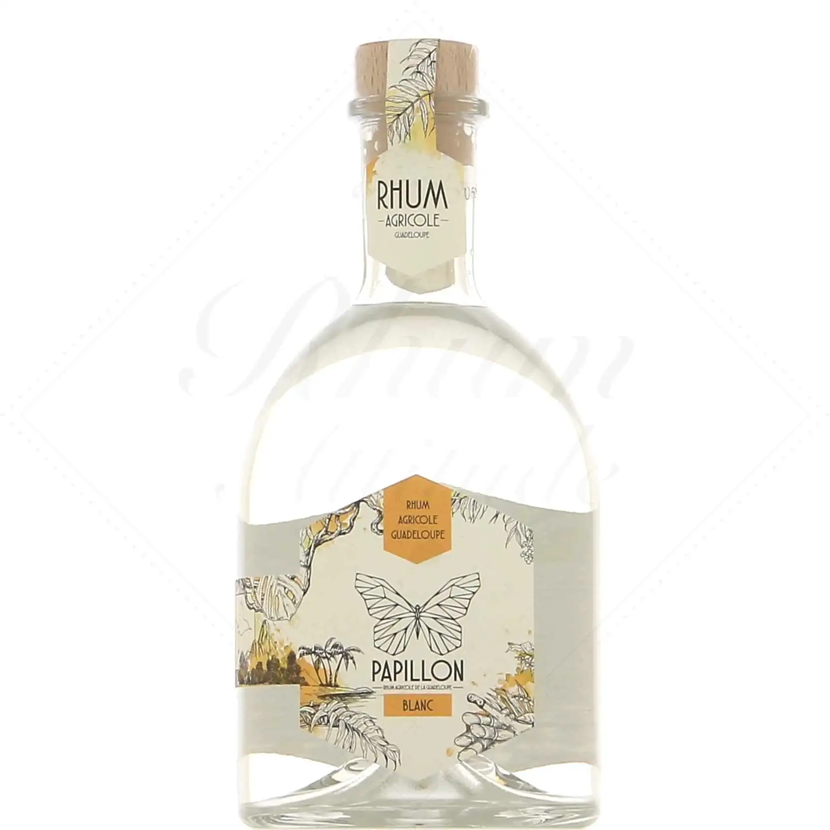 Longueteau Papillon Blanc