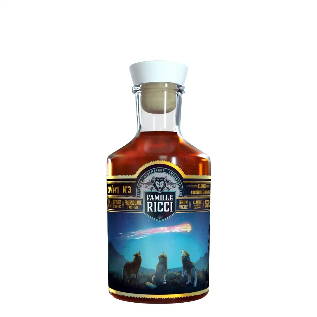 Famille Ricci OVNI 3