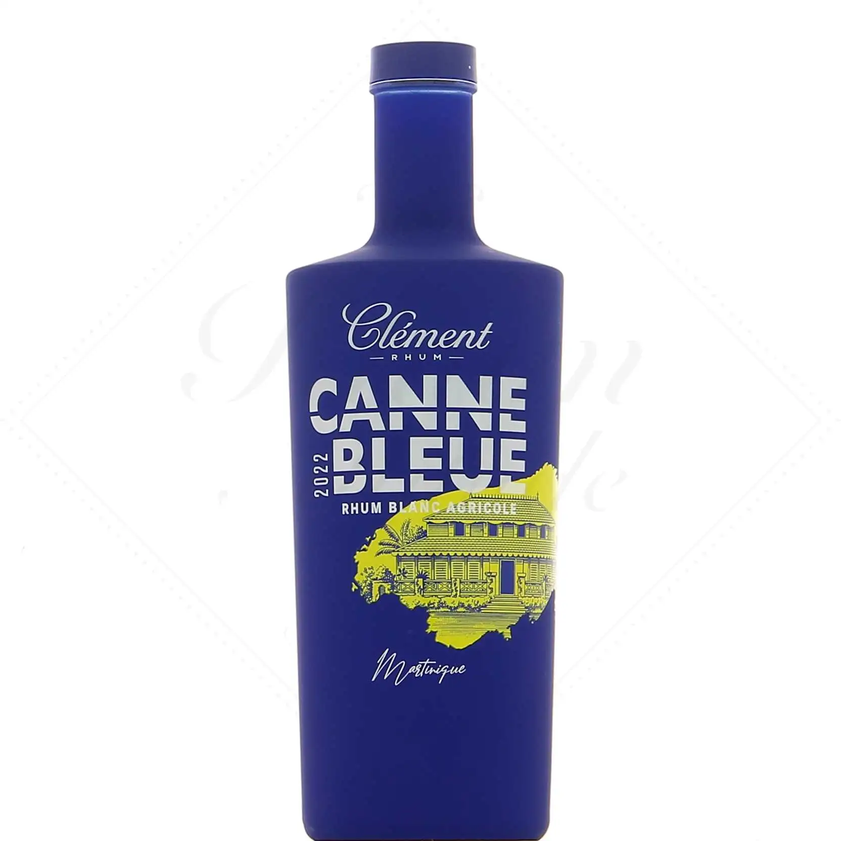 Clément Canne Bleue 2022