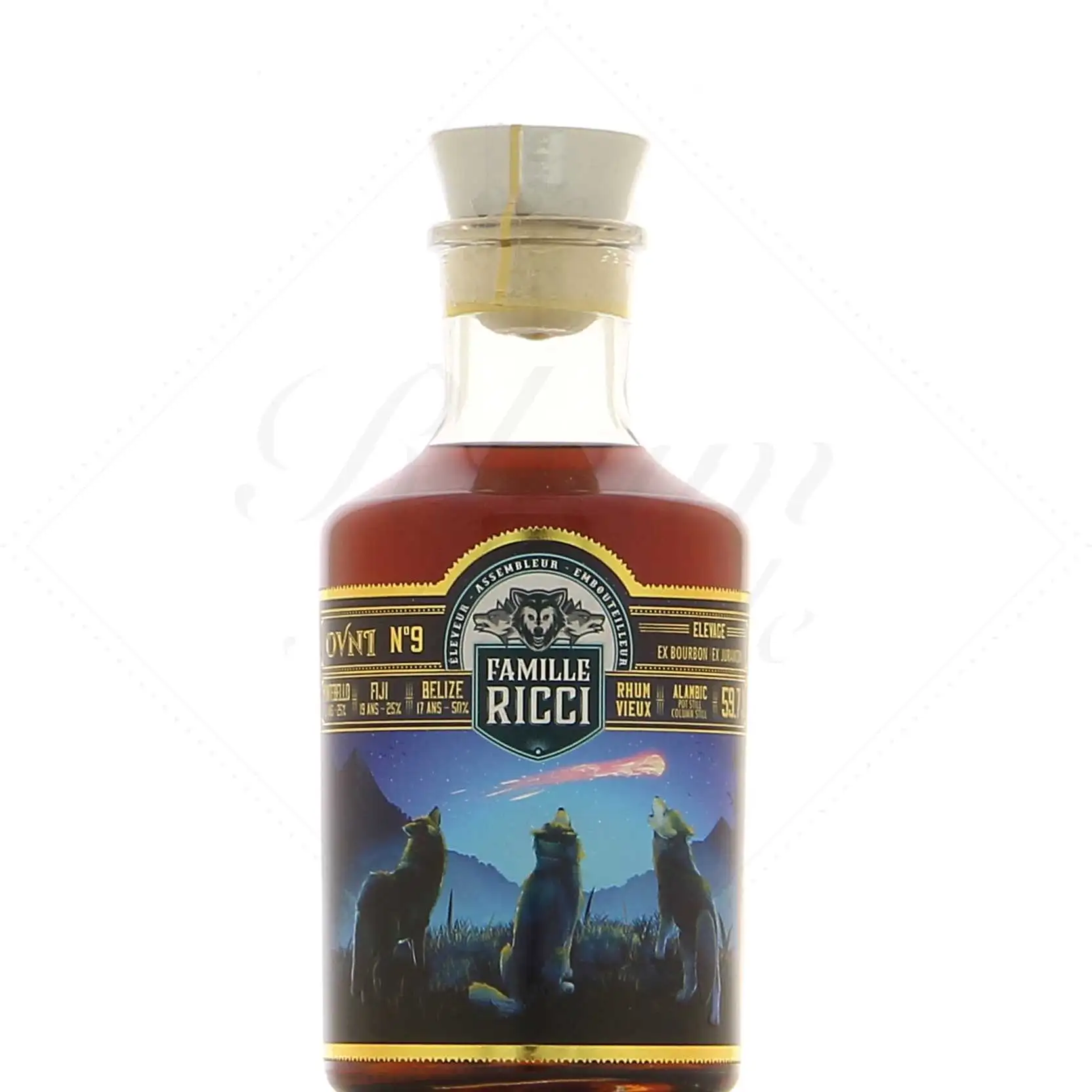 Famille Ricci OVNI 9