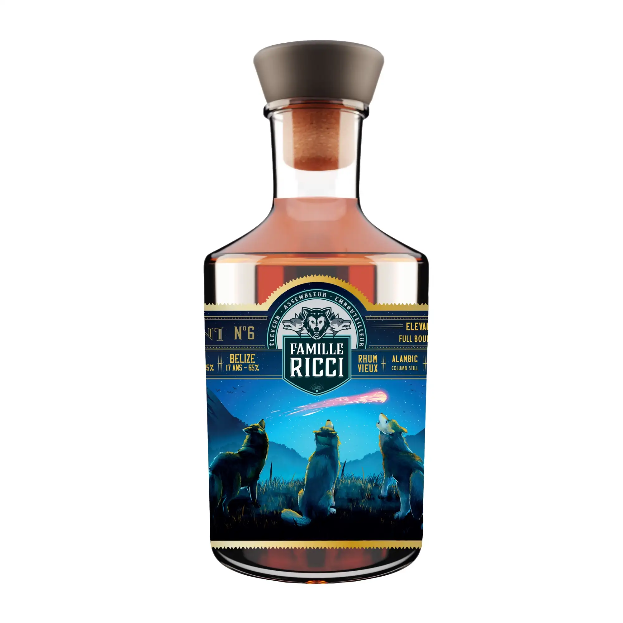 Famille Ricci OVNI 6