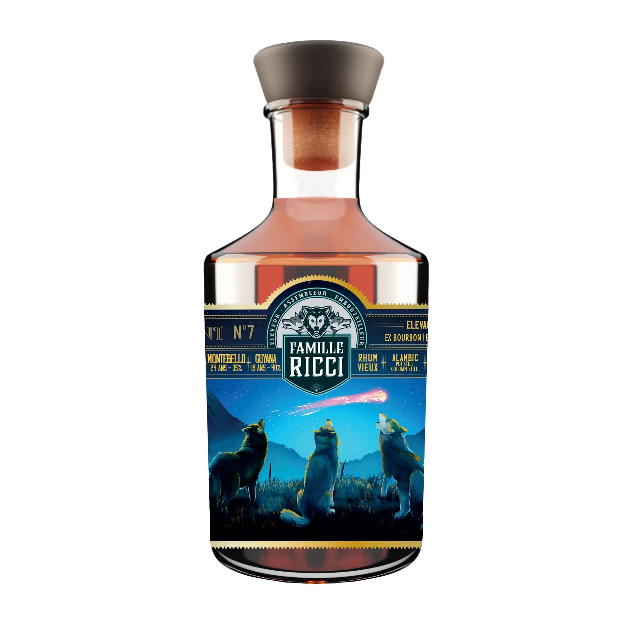 Famille Ricci OVNI 7