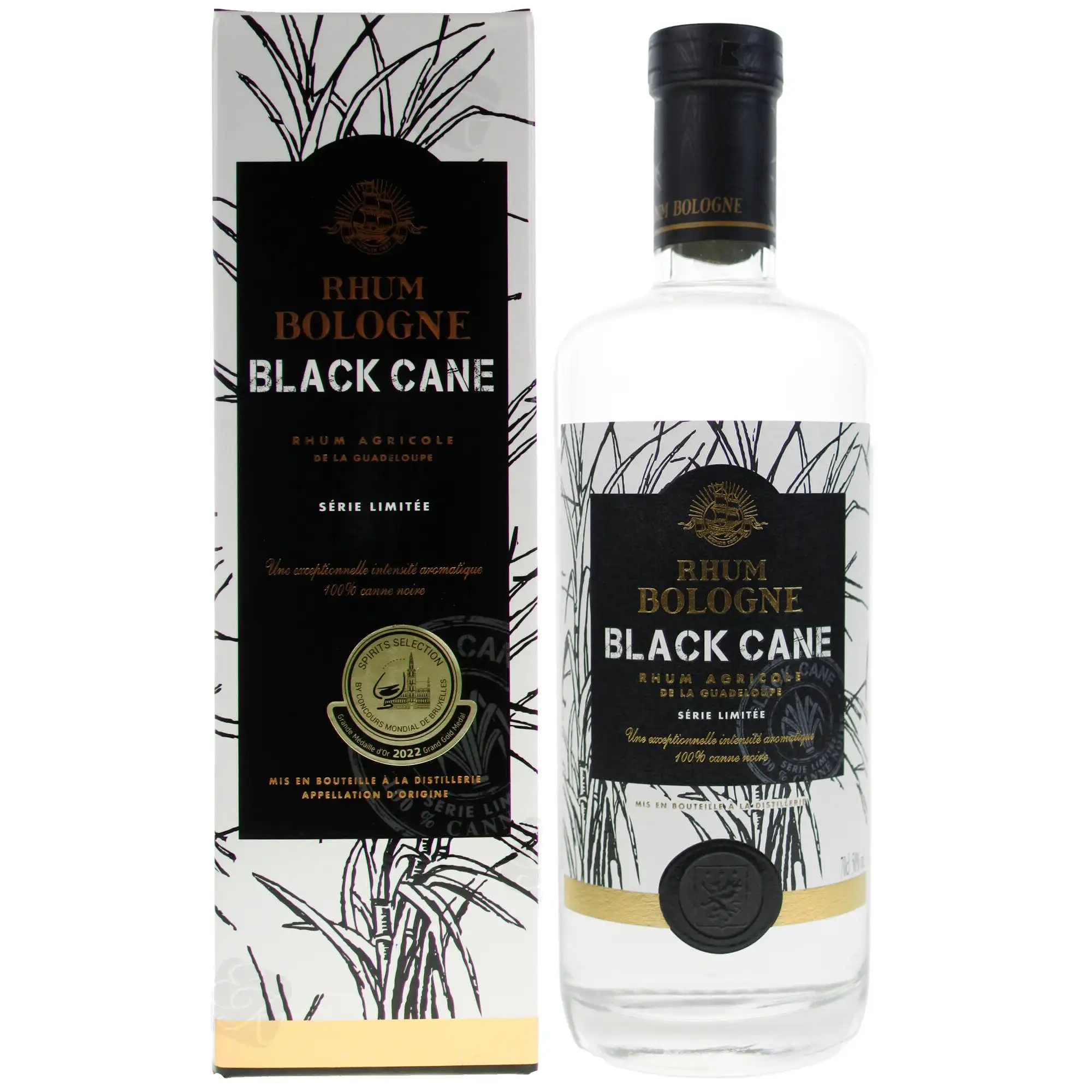 Bologne Black Cane 2023
