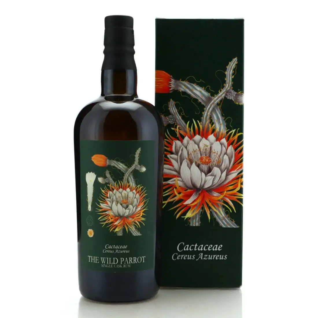 The Wild Parrot Botanica Series 2016