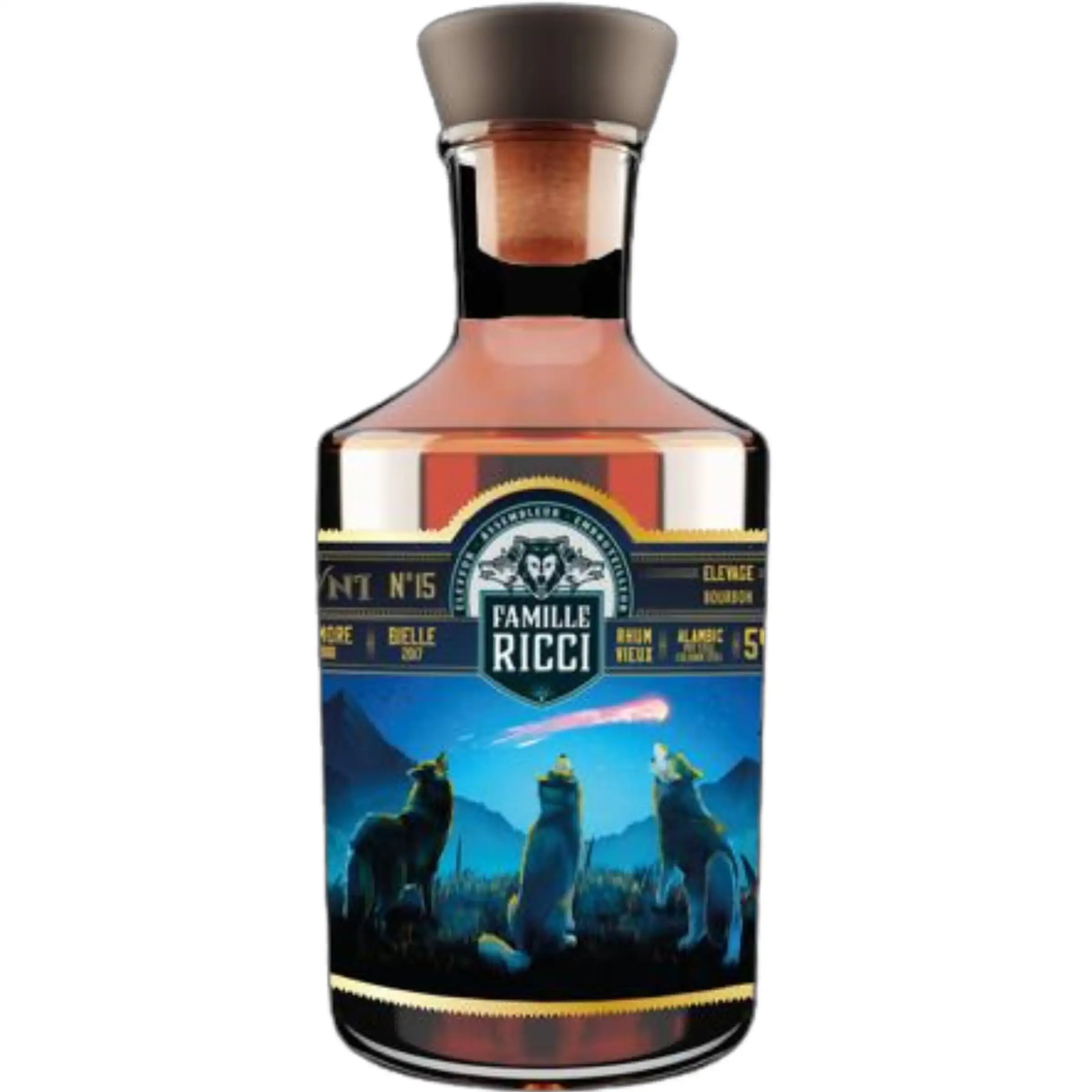 Famille Ricci OVNI 15 1988