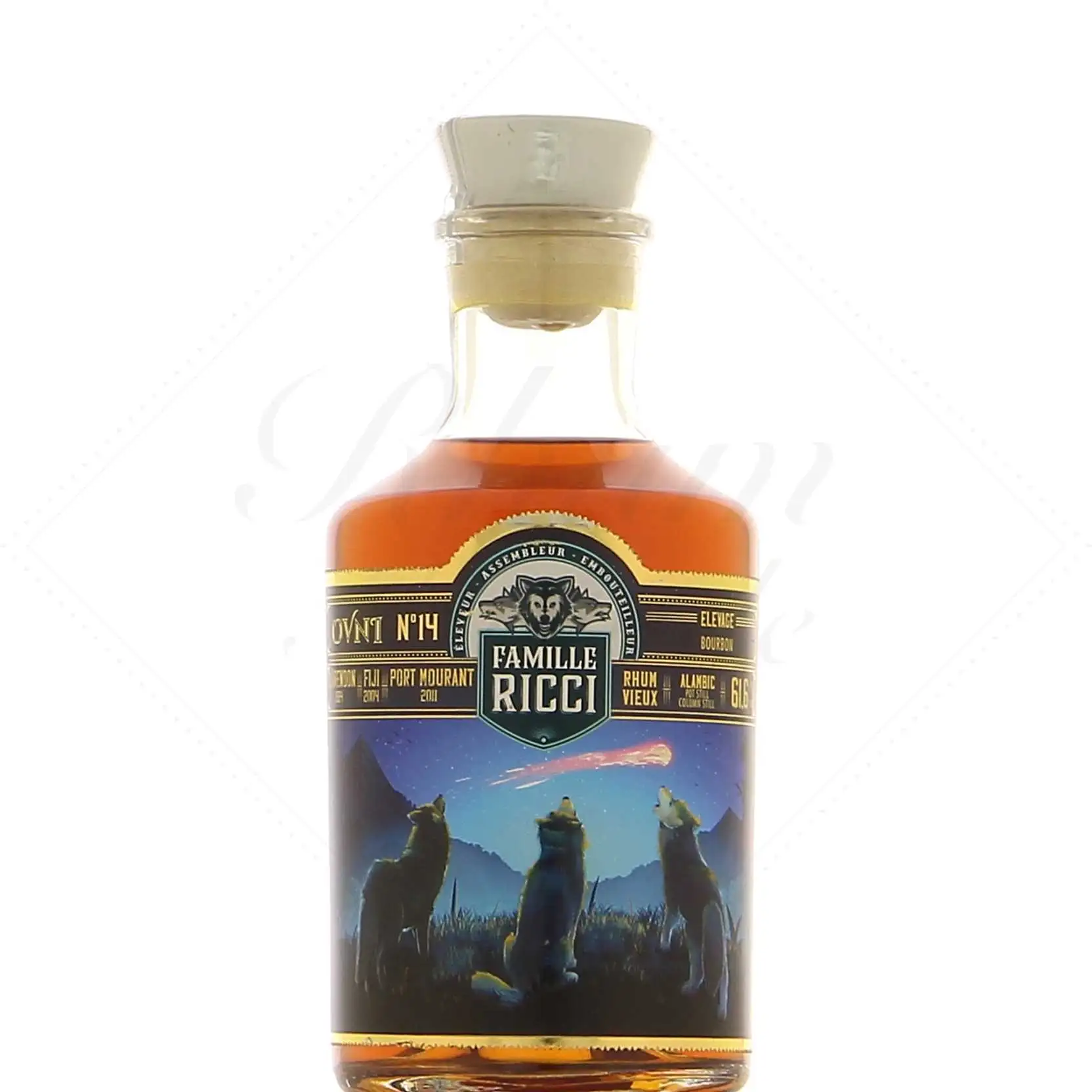 Famille Ricci OVNI 14 1984
