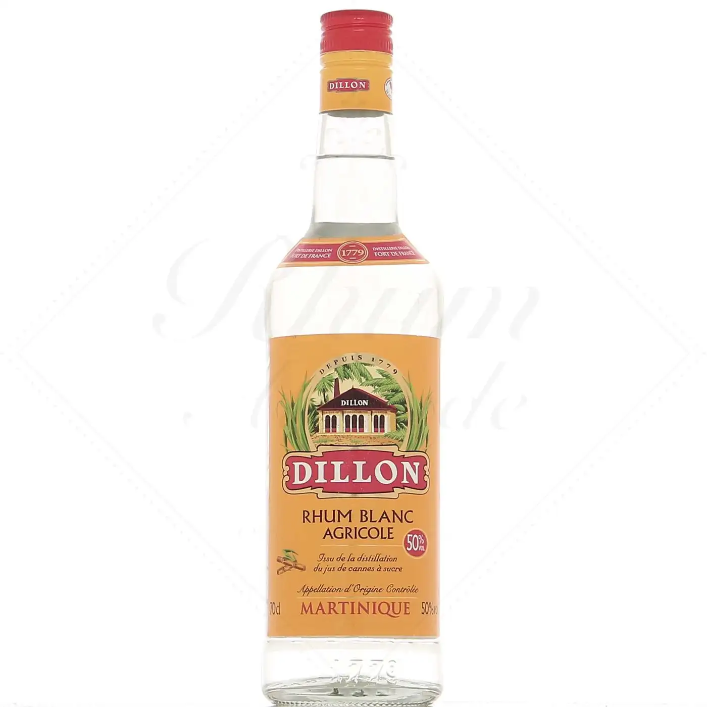 Dillon Blanc