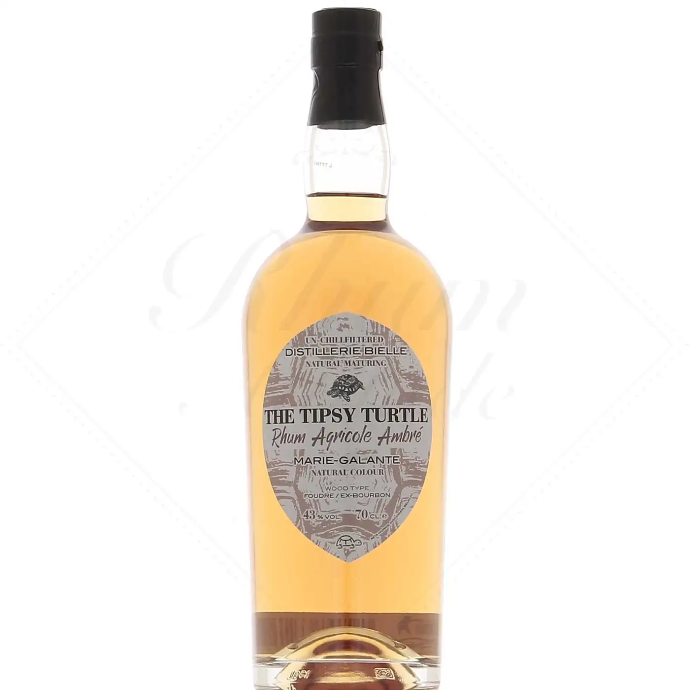 Asta Morris Bielle The Tipsy Turtle