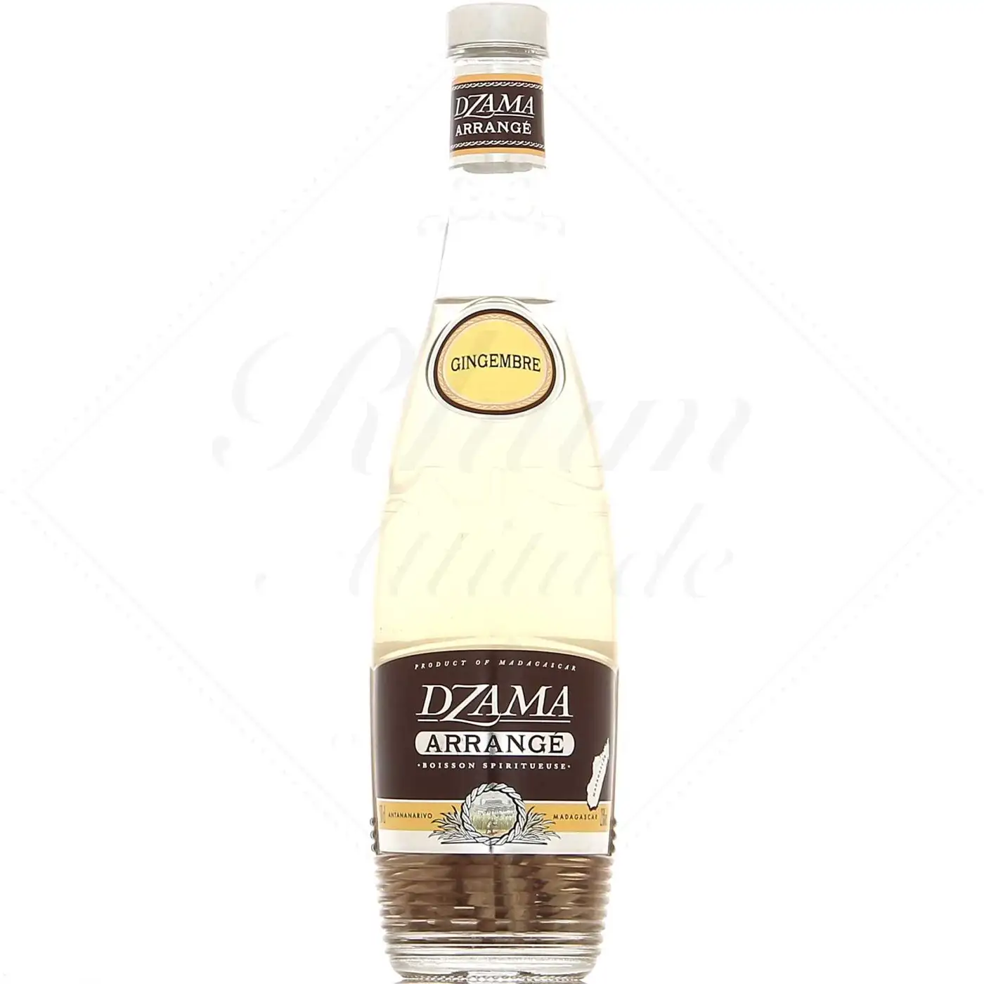 Dzama Arrangé Gingembre